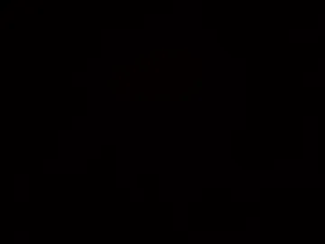 polishx42 photo 7