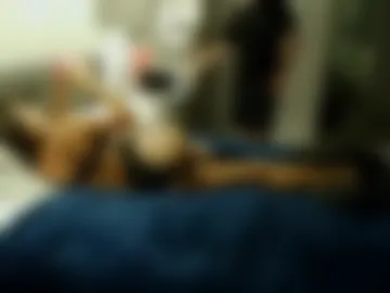 pompous_pirate live webcam preview