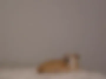 poppyjoyyy photo 3
