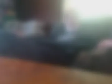 porkingit400 webcam preview
