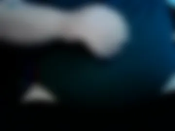 porkypork webcam preview