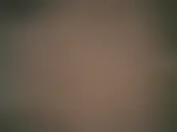 poseidonadventure88 photo 2