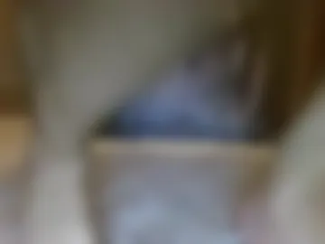powelllexiss live webcam preview