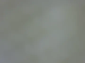 powerdmuscle photo 4