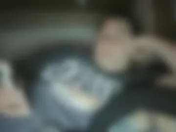 prestonhealy photo 2