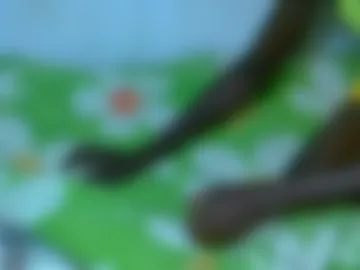 prettydiva2 webcam preview