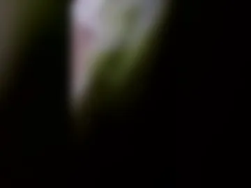 princenaughty000 live webcam preview