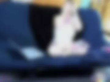 princess_rose_spades live webcam preview