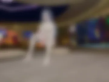princess_vr live webcam preview