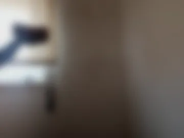 pris88871 live webcam preview
