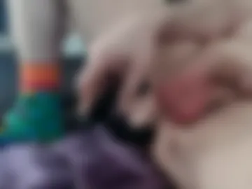 prostatecum04 live webcam preview