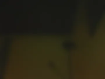 pulevenn live webcam preview