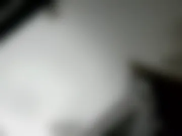 pup_kori photo 2