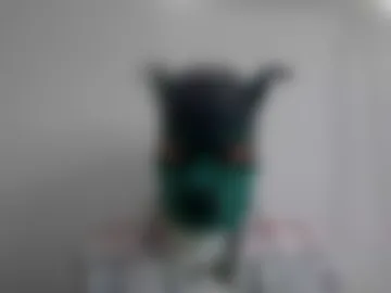 pup_kori photo 2