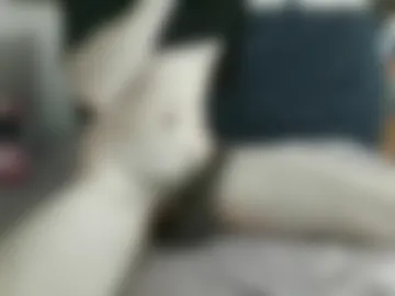 pupp9y photo 3