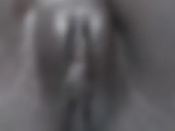 purity8 live webcam preview