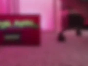 pzdahut webcam preview