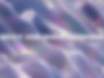 qtolive live webcam preview