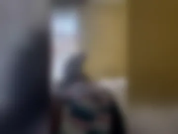 quacy0413 webcam preview