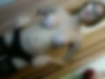 queena10 webcam preview