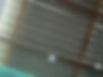 quinbaby live webcam preview