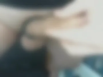 quntis live webcam preview