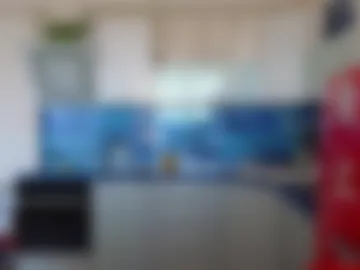 rabbits_couple live webcam preview