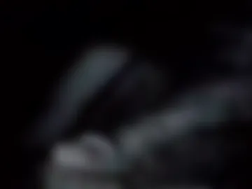 rabyrrbaby live webcam preview