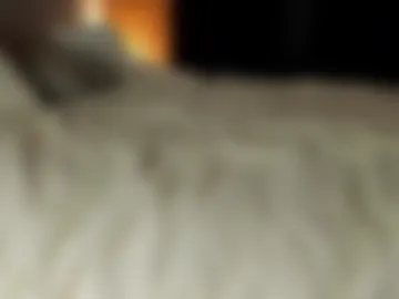 rachel_rey photo 4