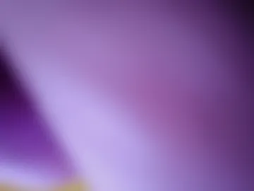 rahulsharma727 live webcam preview