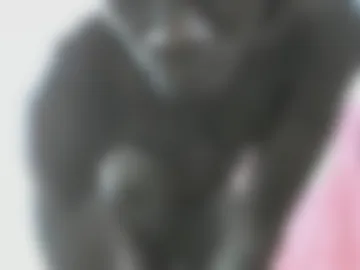 rakeem_1_ live webcam preview