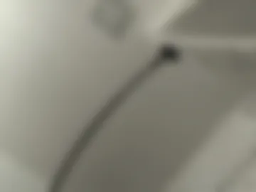 ramichick webcam preview