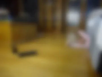 randyhandymann live webcam preview