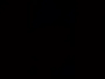rasl67 live webcam preview