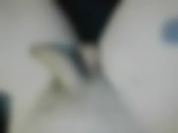 rebornbutbored webcam preview