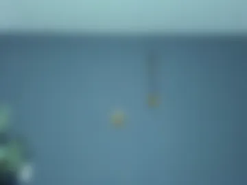 recce_taylor4 photo 4