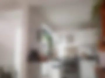 recoromanello webcam preview