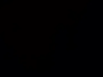 red_turtle live webcam preview