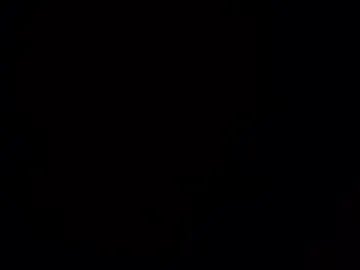 red_turtle live webcam preview