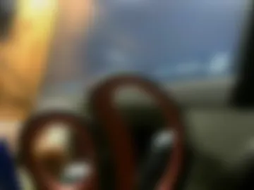 redneck1956 webcam preview