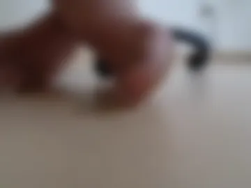 redroderick live webcam preview
