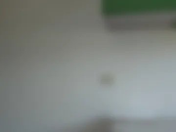 redstep0 webcam preview