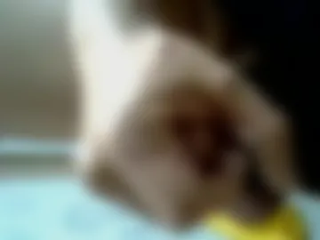 reggar1234 webcam preview