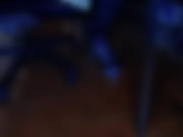 regnerfsky live webcam preview