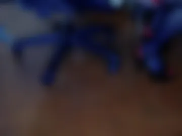 regnerfsky photo 4