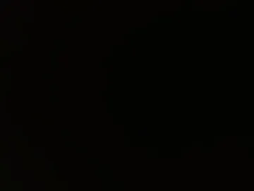 reixenjhon webcam preview