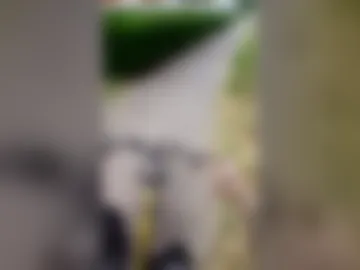 remydewolf2018 live webcam preview