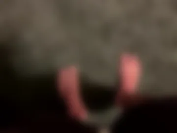 rennn100 live webcam preview