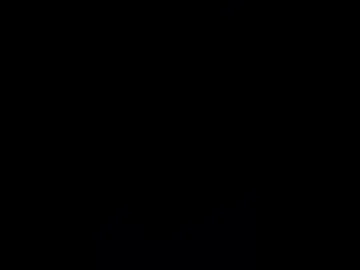 rev0096 live webcam preview