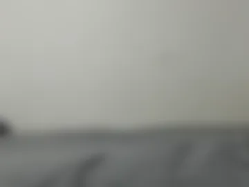 rex_xoxo live webcam preview